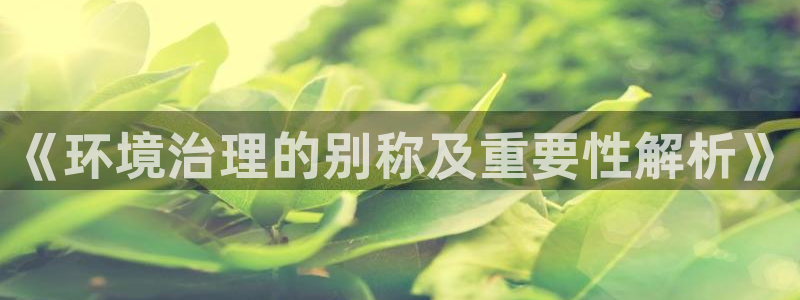 凯发k8官网备用网址：《环境治理的别称及重要性解析》