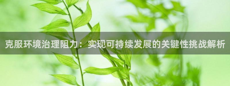 k8凯发|克服环境治理阻力：实现可持续发