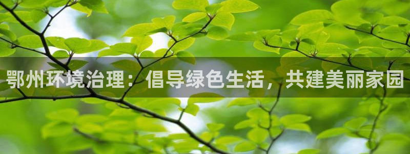 凯发k8国际首页登录|鄂州环境治理：倡导绿色生活，共建美丽家园