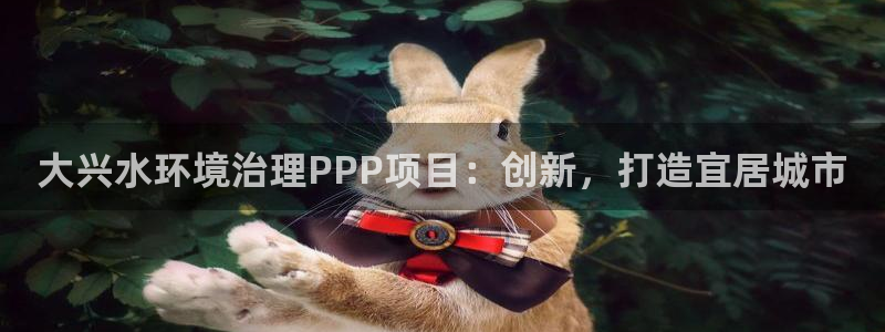 凯发k8国际首页登录|大兴水环境治理PP